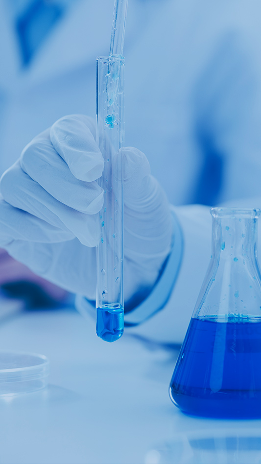 mg不朽情缘(中国)官方网站